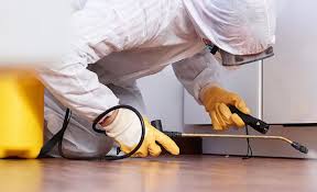 Emergency Pest Control Services in Towaco, NJ